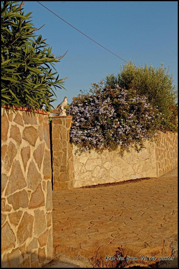 Вилла Mi Oasis Кониль-де-ла-Фронтера Экстерьер фото